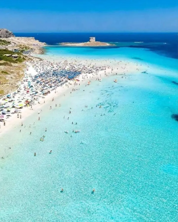 Elisart 2 Bed & Breakfast Alghero